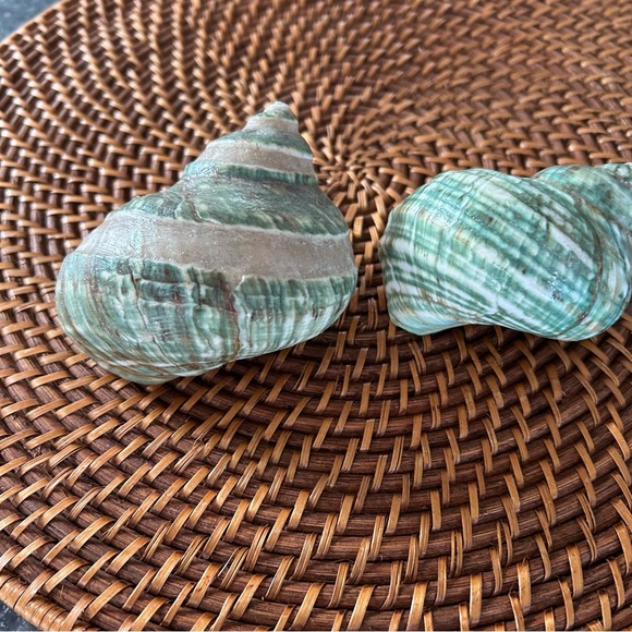 Two Jade Turbo Shells - Picture 3 of 5